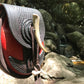 The Swiftwater Belt Pouch