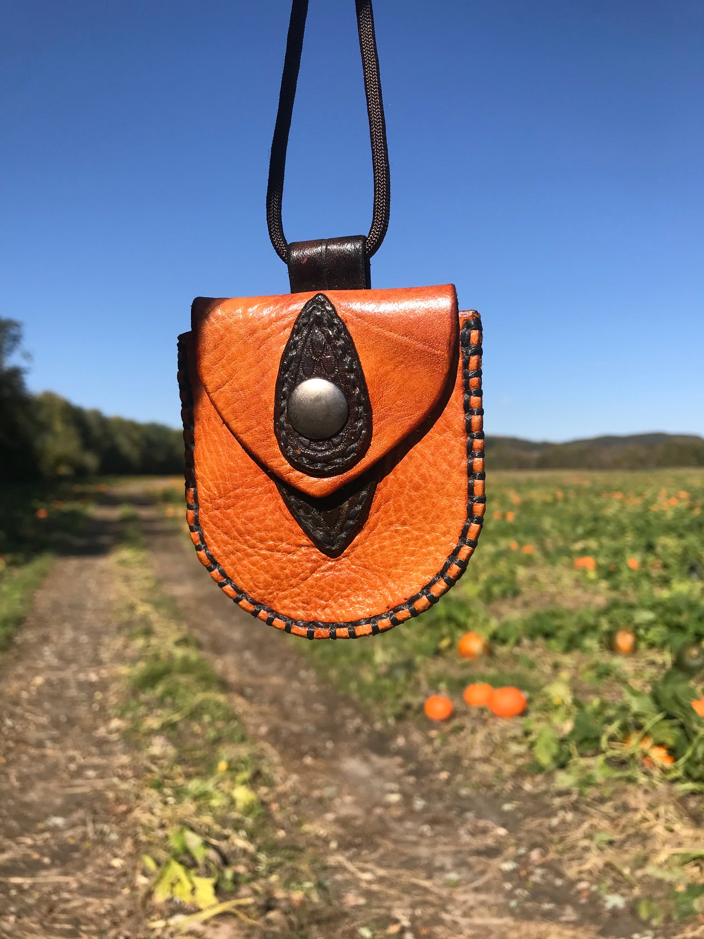 The Nipper neck pouch