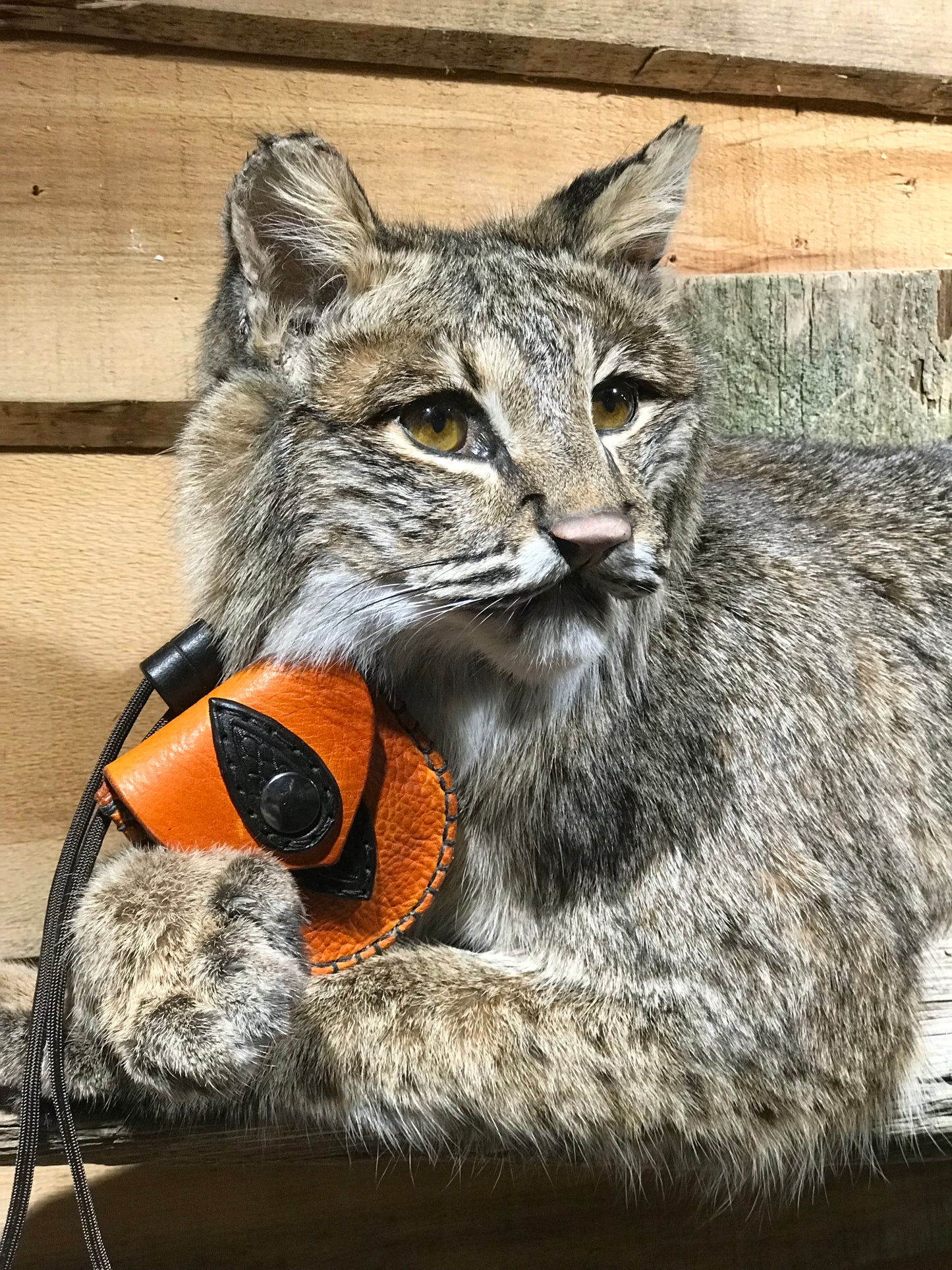 The Nipper neck pouch